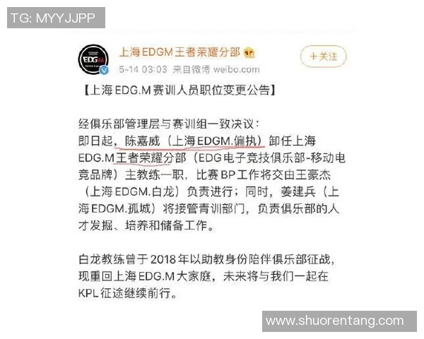 王者荣耀深度解析：EDG战队意识与策略的背后故事