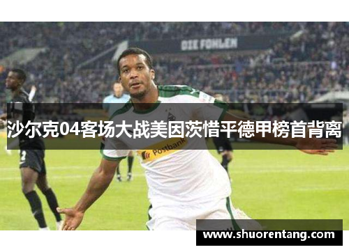 沙尔克04客场大战美因茨惜平德甲榜首背离