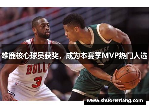 雄鹿核心球员获奖，成为本赛季MVP热门人选